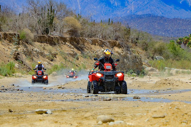 Small-Group ATV Desert Adventure in Cabo San Lucas - Common Questions