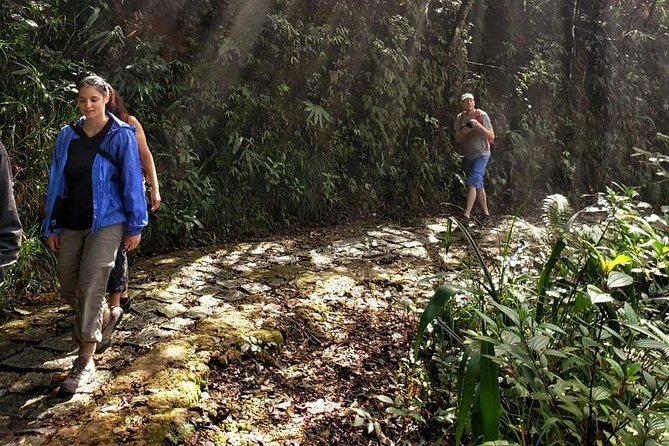 Small Group - Bach Ma National Park Trekking Tour From Hue - Traveler Reviews and Ratings