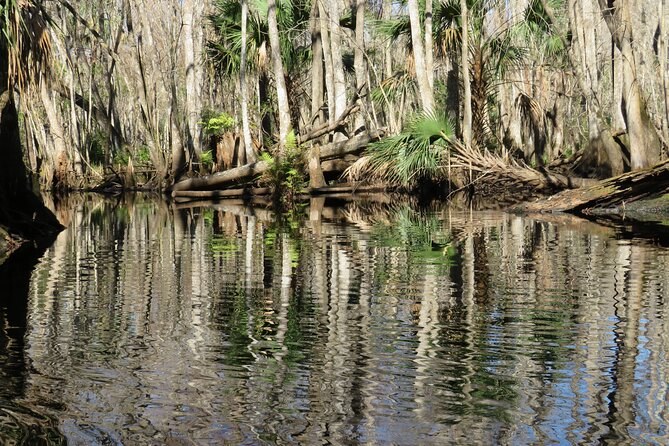 Small Group Blackwater Creek Scenic River Kayak Tour With Lunch - Additional Information