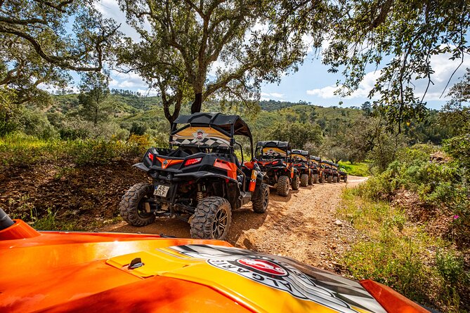Small-Group Buggy Riding Safari in Algarve - Safety Guidelines