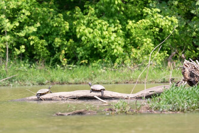 Small Group Clear Kayak Tour of Old Hickory Lake - Common Questions
