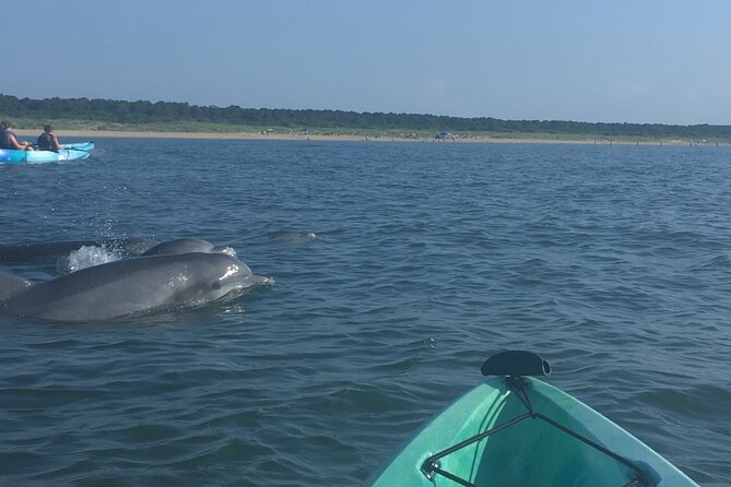 Small Group Dolphin Kayak Eco-Tour - Directional Information for the Kayak Tour