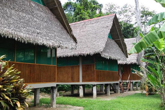 Small-Group Four-Day Tour With Activities, Tambopata Reserve  - Puerto Maldonado - Reviews