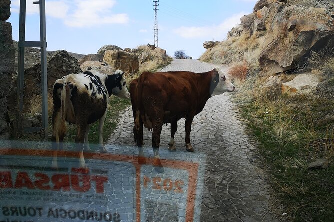 Small-Group Green Tour (South Tour) (PRİVATE TOUR) - Booking and Pricing Information