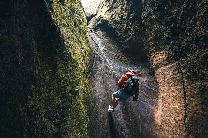 Small-Group Half-Day Canyoning in La Orotava - Common Questions