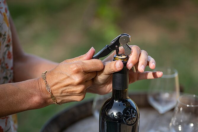 Small-Group Half-Day Languedoc Wine and Olive Tour From Montpellier - Pricing and Terms