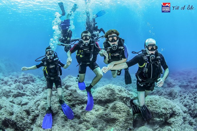 Small-Group Introductory Scuba Diving Class, Crete  - Chania - Scuba Diving Theory