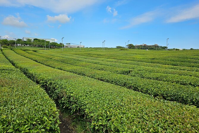 Small Group Jeju Private Full-Day Tour of East and South and West - Booking Information