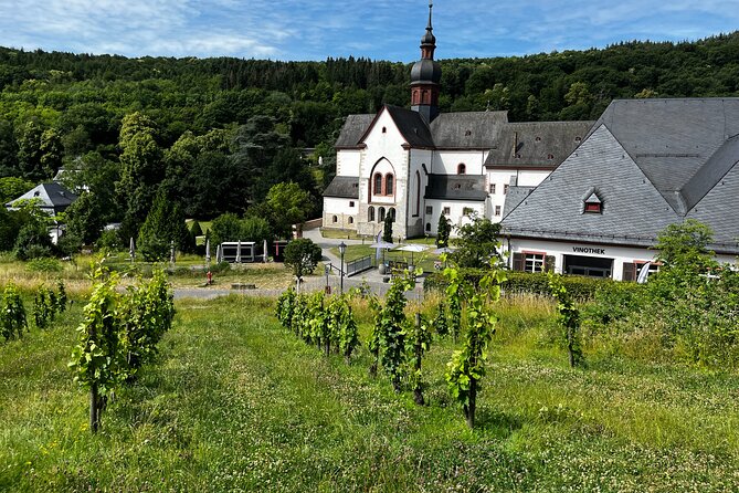 Small Group Rheingau Vineyards Tour With Castles and Abbeys - Lunch and Dining Experience