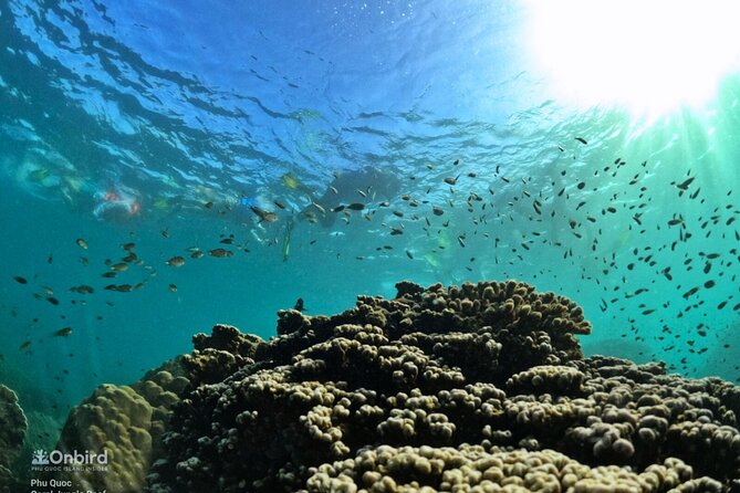 [Small-Group] SNORKELING & SUNSET MEAL at Private Beach-Max 9 PAX - Directions to the Private Beach