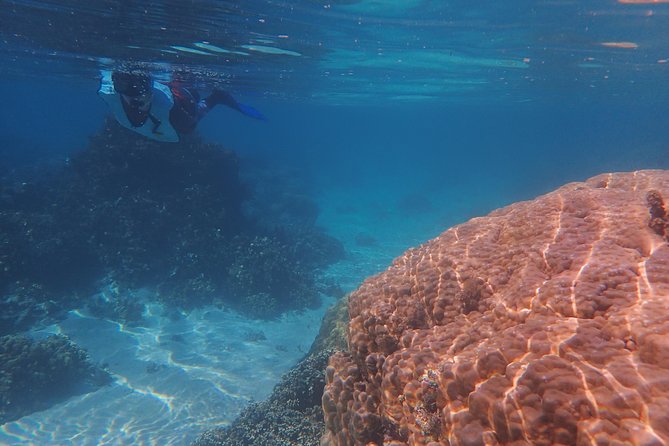 Small-Group Snorkeling Tour of Off-Shore Wrecks, Tahiti - Common Questions