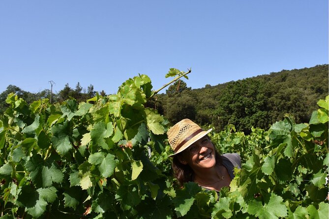 Small Group Wine Tour in the Vineyards of the Gulf of St-Tropez - Common Questions