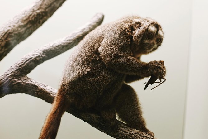 Smithsonian Natural History American History Semi-Private Tour - Duration and Schedule