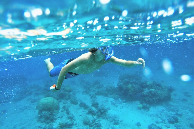 Snorkel Adventure Through the Sea of Cortez - Questions and Pricing