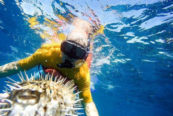 Snorkel Tour to Pelican Rock by Glass-Bottom Boat With Souvenir Photos - Directions