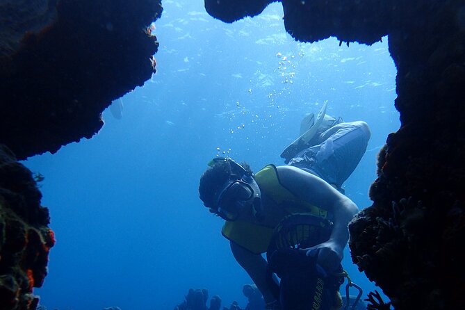 Snorkel With Sea Scooters at Mangel Halto Aruba - Group Tour - Pricing and Company Information