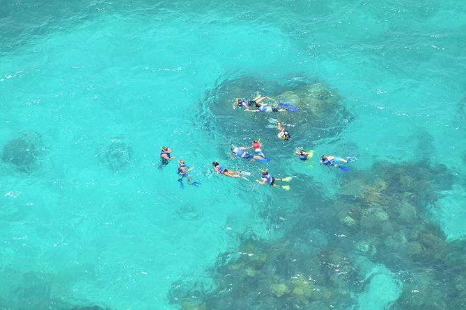 Snorkeling Adventure at Isla Mujeres Includes Lunch and Open Bar - Escape the Usual Beach Activities