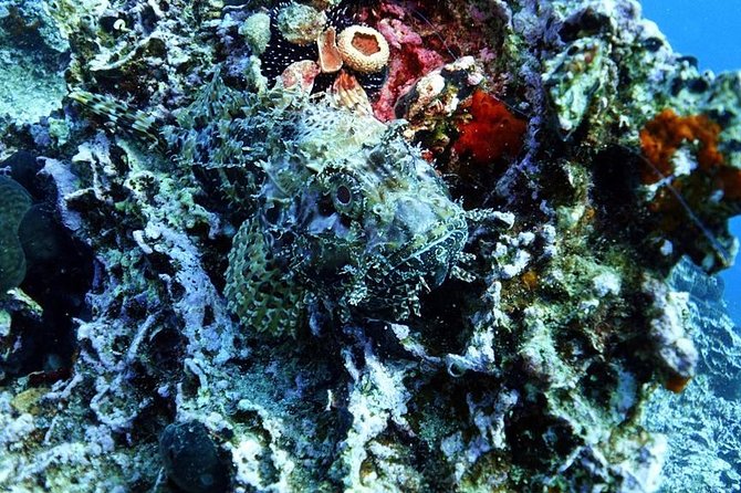 Snorkeling Adventure in Athenian Riviera - Directions