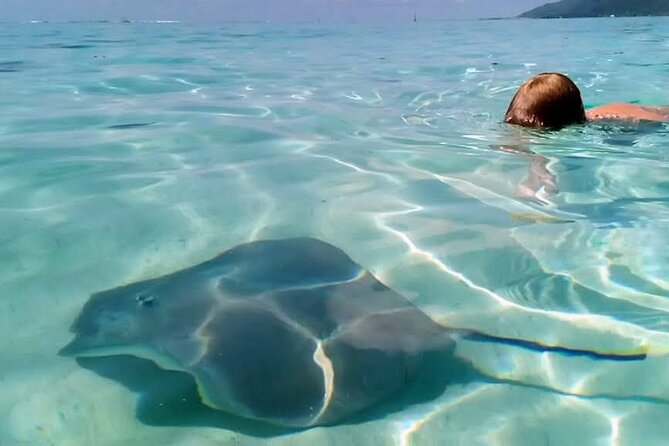 Snorkeling Excursion and Encounter With Marine Fauna in Moorea - Snorkeling Spots