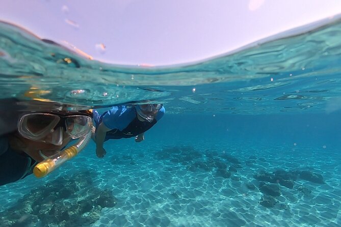Snorkeling Experience to Discover the Dolphin Inside You! - Meeting Point and Address Details