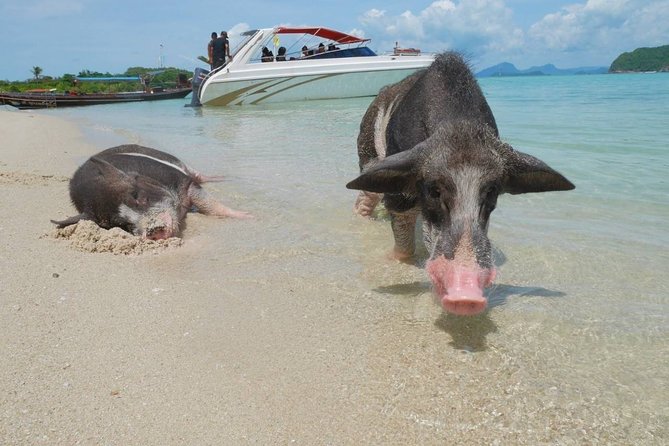 Snorkeling & Kayaking Trip at Koh Madsum and Koh Tan By Speedboat From Koh Samui - Price and Terms