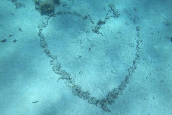 Snorkeling Picnic in 5 Hours With Lunch in Tahiti - The Sum Up