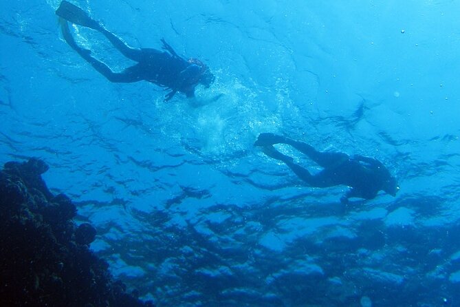 Snorkeling Trip to Fujairah on the UAEs East Coast - Common Questions