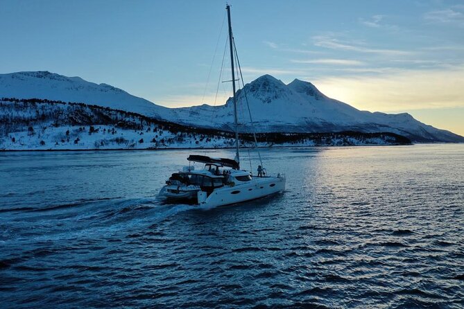 Snorkeling With Orcas in Norway, 4 Days All-Inclusive Expedition - The Sum Up