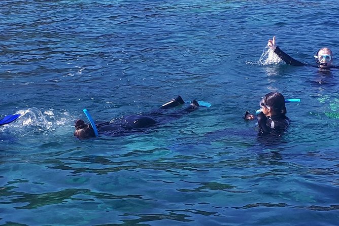 Snorkeling - Common Questions