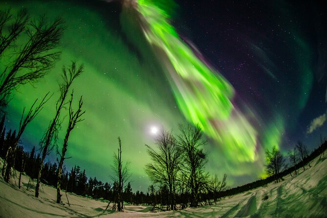 Snowshoe in the Northern Light Night - Chasing the Elusive Northern Lights
