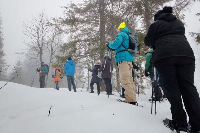 Snowshoe Tour in Winter Wonderland - Oslo - Common Questions