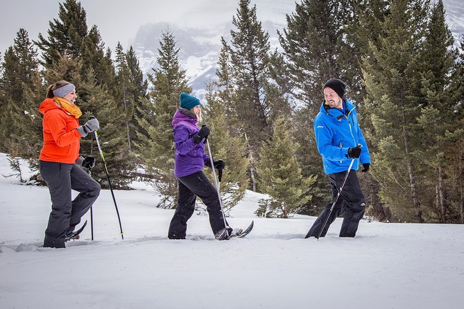 Snowshoeing Tour to the Paint Pots - Snowshoeing Tour Itinerary