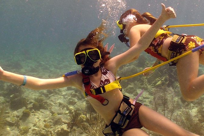 Snuba Adventure at Coral World Ocean Park - The Guided Snuba Tour at Coral World Ocean Park