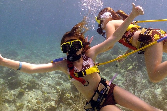Snuba Adventure at Coral World Ocean Park - Positive Reviews and Feedback