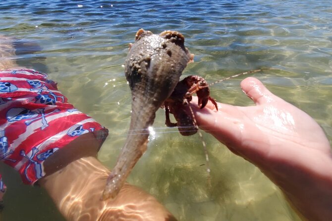 Sonnys Boat Tours Full Day Sand Bar Adventure Englewood, Florida - Safety Measures and Guidelines