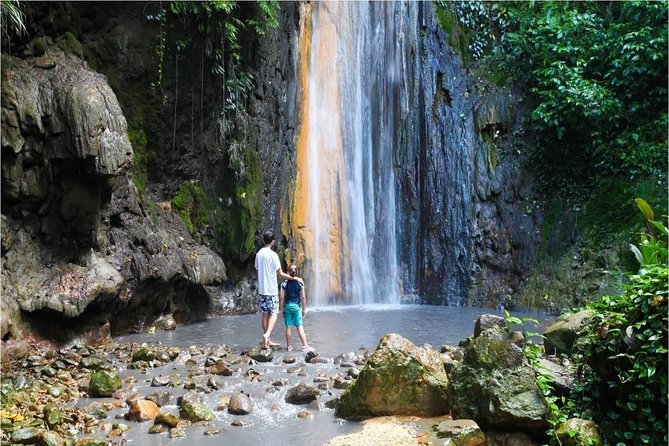 Soufriere Island Delight - Abundance of Wildlife and Nature