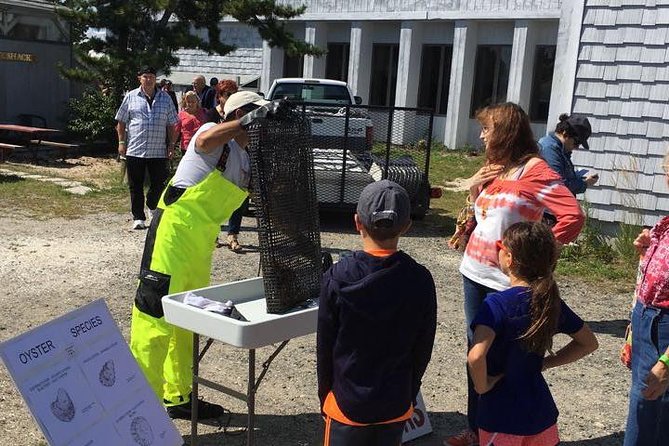 Southold Bay Oyster Farm Tour - The Sum Up