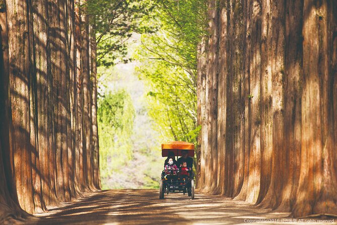 Special Private Tour Nami Island, Rail Bike, Petite France - Common Questions