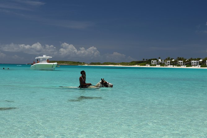 Speed Boat & Snorkeling Tour Pinel & Tintamarre Islands for CRUISE SHIP GUESTS - Common Questions