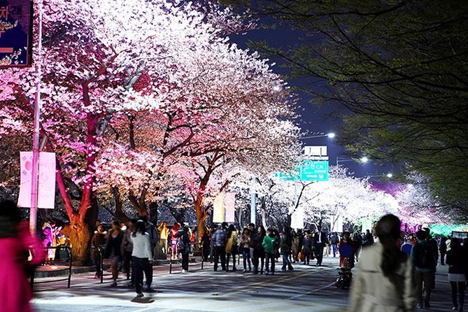 Spring 6 Days Cherry Blossom Jeju&Busan&Jinhae&Gyeongju on 31 Mar to 10 Apr - Availability and Booking Details