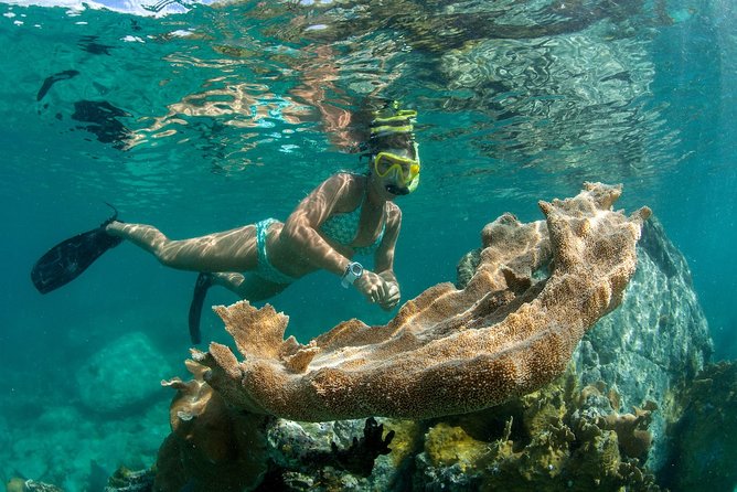 St. John Pizza Pi Snorkel Sail With Beach Stop, Lunch & Open Bar - Westin - Common Questions