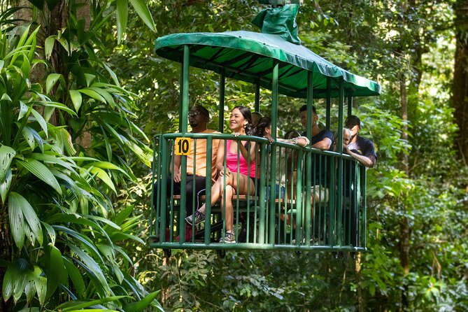 St Lucia Ultimate 3: Aerial Tram, Zipline and Hiking at Rainforest Adventures - Traveler Photos and Reviews