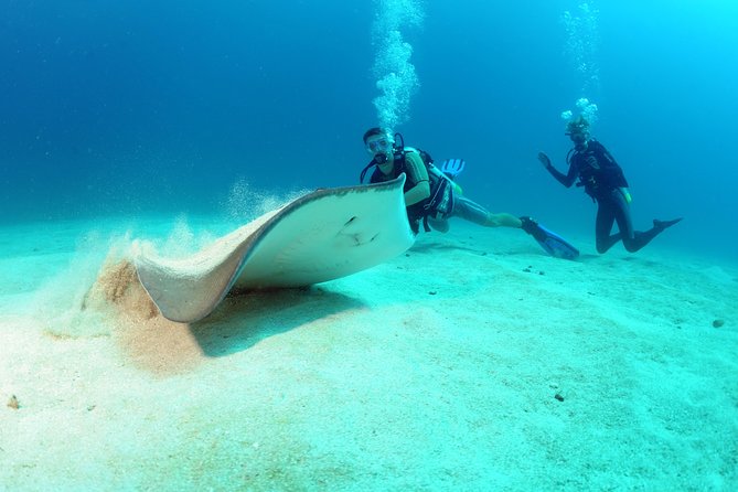 St Maarten Scuba Diving for Certified Divers - Common Questions