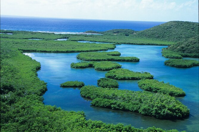 St Thomas Mangrove Lagoon Kayak and Snorkel Tour in the US Virgin Islands - Common Questions