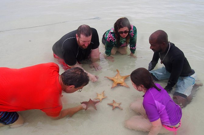 Starfish Point, Stingray City and Coral Garden (3-Stop Adventure) - Directions