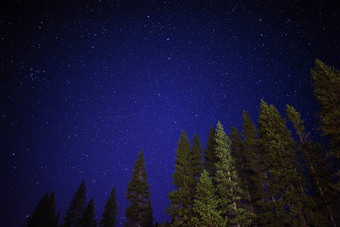 Stargazing in Sequoia National Park - The Sum Up