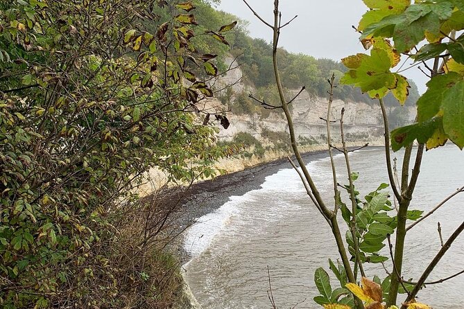 Stevns Klint World Heritage and Stevnsfort Day Tour in Copenhagen - Tour Price and Availability