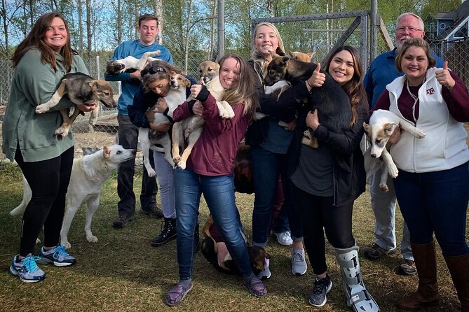 Summer Dog Sledding Adventure in Willow, Alaska - Whats Included