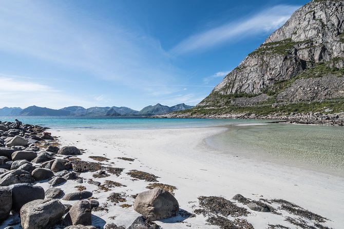 Summer Full-Day Guided Tour of the Lofoten Islands - Host Response and Viator Help Center