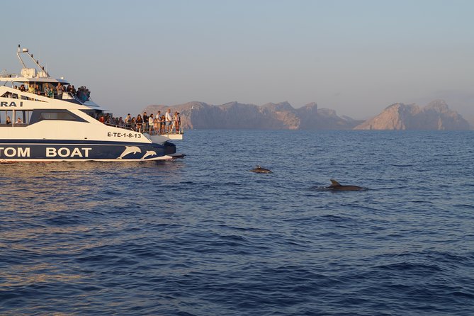 Sunrise Boat Trip in Mallorca With Dolphin-Watching - Common Questions